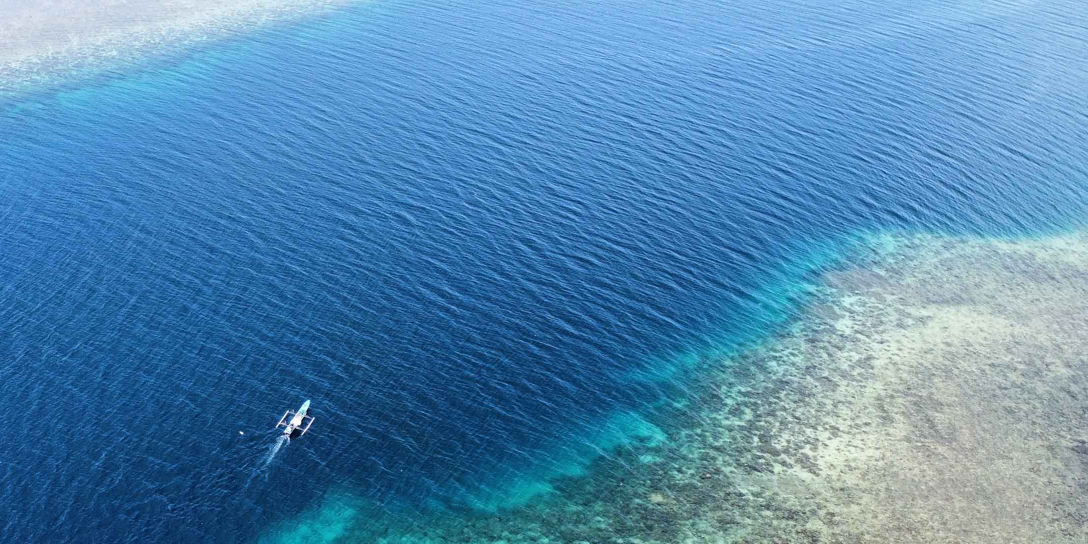 Wallacea Expeditions