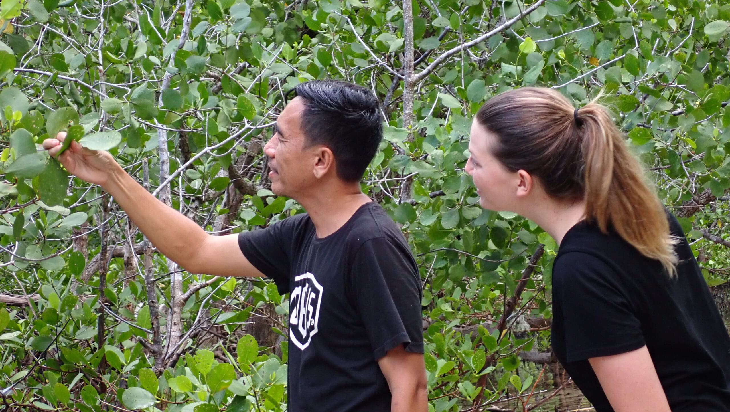 Wallacea_Expeditions_Destination_Bahoi_04