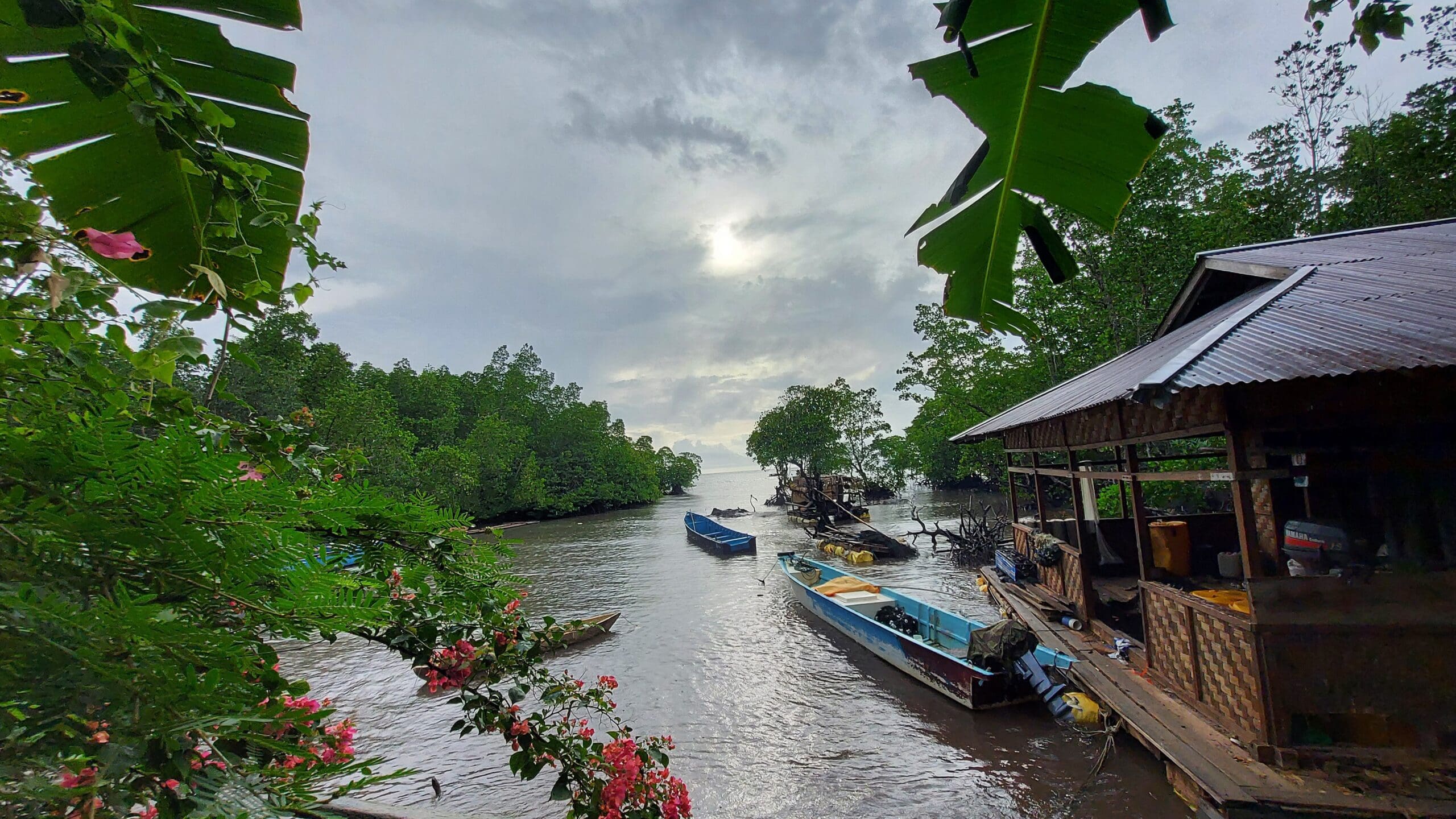 Wallacea_Expeditions_Destination_Bahoi_10