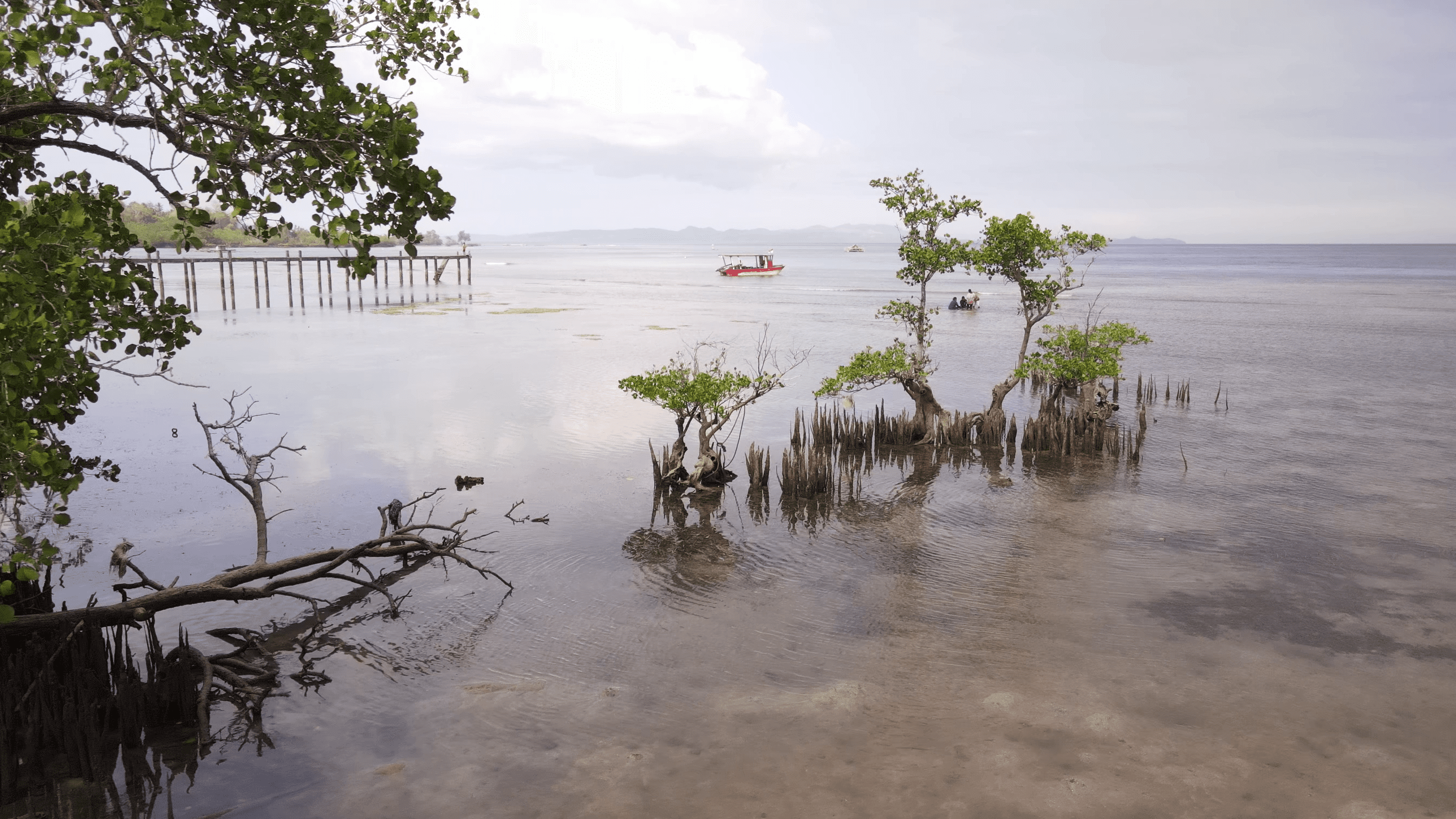 Wallacea_Expeditions_Destination_Bahoi_13