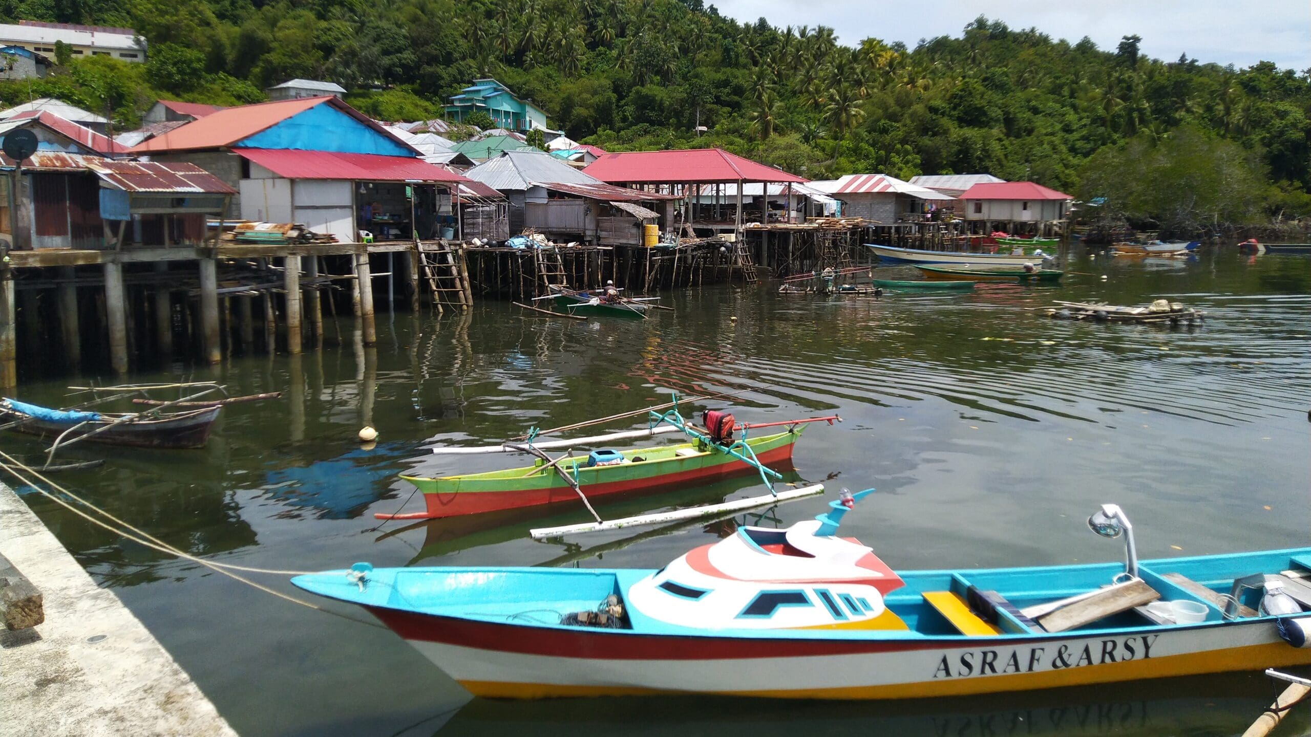 Wallacea_Expeditions_Destination_Bulutui_05