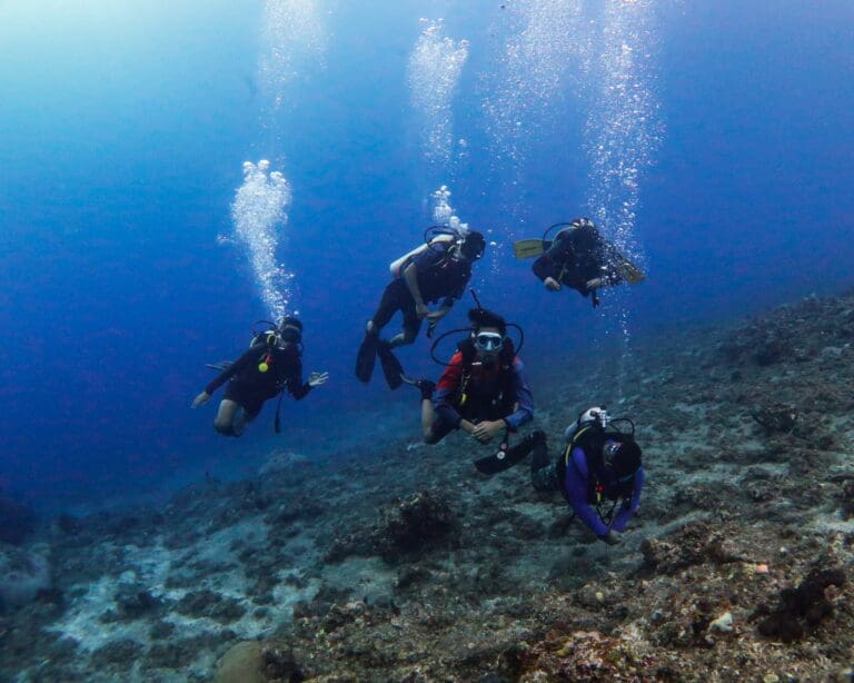 Wallacea_Expeditions_Open_Water_Scuba_04