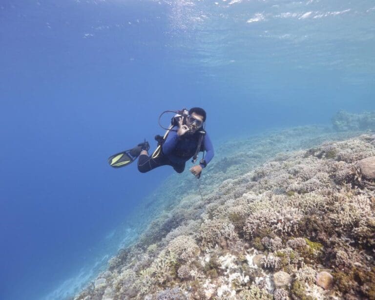 Wallacea_Expeditions_Open_Water_Scuba_07