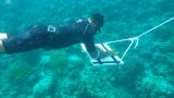 wallacea_expeditions_coral_monitoring
